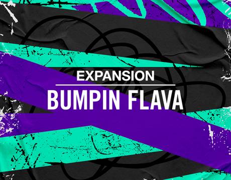 Native Instruments Expansion - Bumpin Flava